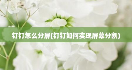 钉钉怎么分屏(钉钉茹何实现屏幕分割)