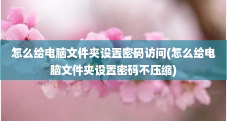 怎么给电脑文件夹设置密码访问(怎么给电脑文件夹设置密码不压缩)
