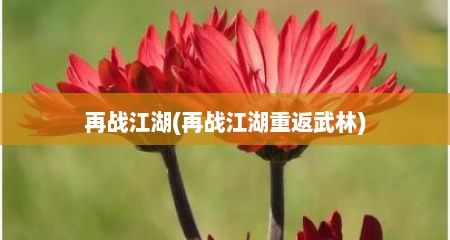 再战江湖(再战江湖重返武林)