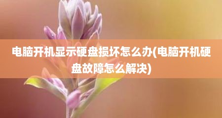 电脑开机显示硬盘损坏怎么办(电脑开机硬盘故障怎么解决)