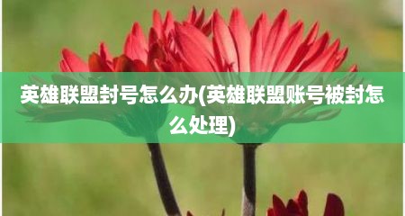 英雄联盟封号怎么办(英雄联盟账号被封怎么处理)