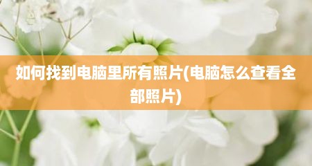 如何找到电脑里所有照片(电脑怎么查看全部照片)