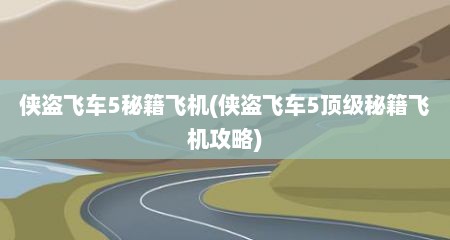 侠盗飞车5秘籍飞机(侠盗飞车5顶级秘籍飞机攻略)