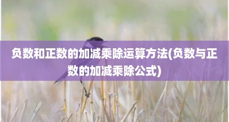 负数和正数的加减乘除运算方法(负数与正数的加减乘除公式)