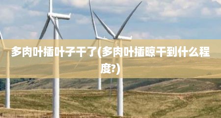 多肉叶插叶子干了(多肉叶插晾干到什么程度?)