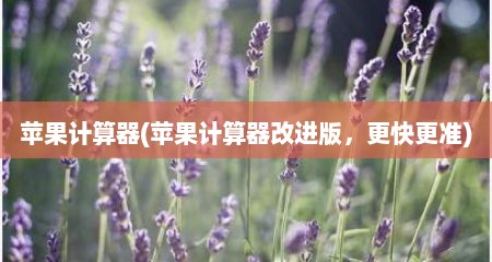 苹果计算器(苹果计算器改进版，十分快十分准)