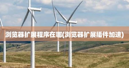 浏览器扩展程序在哪(浏览器扩展插件加速)
