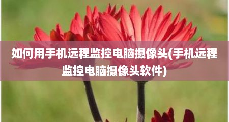 如何用手机远程监控电脑摄像头(手机远程监控电脑摄像头软件)