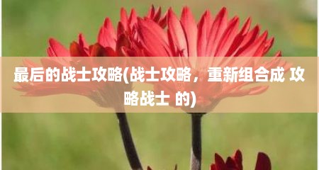 最后的战士攻略(战士攻略，重新组合成 攻略战士 的)