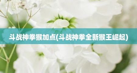 斗战神拳猴加点(斗战神拳全新猴王崛起)