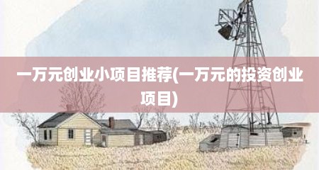 一万元创业小项目推荐(一万元的投资创业项目)