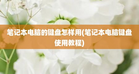 笔记本电脑的键盘怎样用(笔记本电脑键盘使用教程)