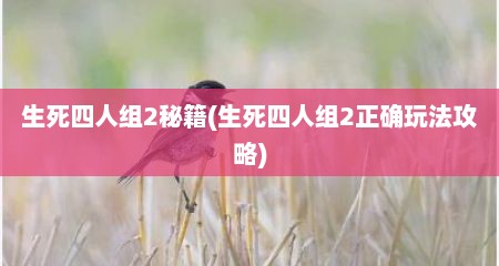 生死四人组2秘籍(生死四人组2正确玩法攻略)