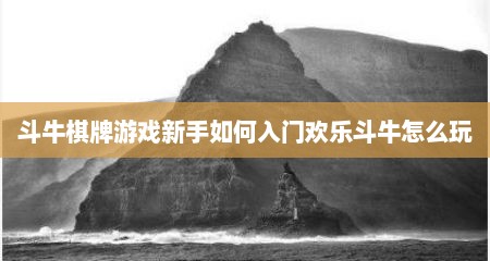 斗牛棋牌游戏新手如何入门欢乐斗牛怎么玩