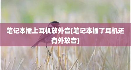 笔记本插上耳机放外音(笔记本插了耳机还有外放音)