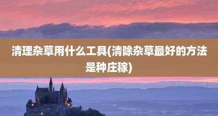 清理杂草用什么工具(清除杂草最好的方法是种庄稼)