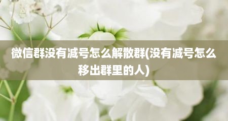 微信群没有减号怎么解散群(没有减号怎么移出群里的人)
