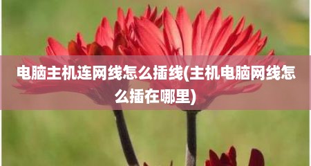 电脑主机连网线怎么插线(主机电脑网线怎么插在哪里)