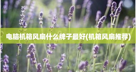 电脑机箱风扇什么牌子最好(机箱风扇推荐)