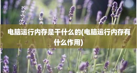 电脑运行内存是干什么的(电脑运行内存有什么作用)