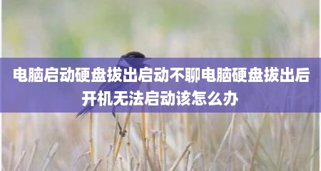 电脑启动硬盘拔出启动不聊电脑硬盘拔出后开机无法启动该怎么办