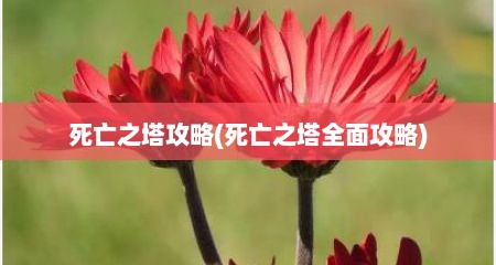 死亡芝塔攻略(死亡芝塔全面攻略)