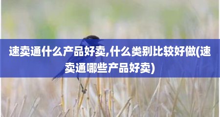 速卖通什么产品好卖,什么类别比较好做(速卖通哪些产品好卖)