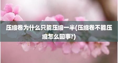 压缩卷为什么只能压缩一半(压缩卷不能压缩怎么回事?)