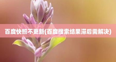 百度快照不更新(百度搜索结果滞后需解决)