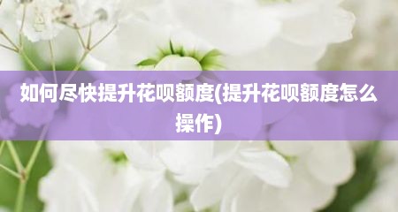 如何尽快提升花呗额度(提升花呗额度怎么操作)