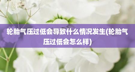 轮胎气压过低会导致什么情况发生(轮胎气压过低会怎么样)