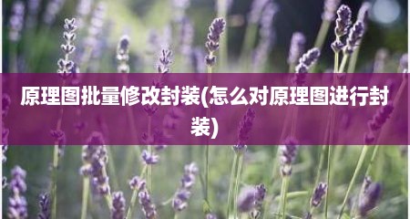 原理图批量修改封装(怎么对原理图进行封装)