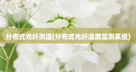 分布式光纤测温(分布式光纤温度监测系统)