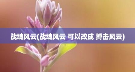 战魂风云(战魂风云 可拟改成 搏击风云)