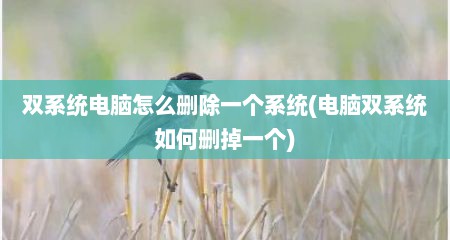 双系统电脑怎么删除一个系统(电脑双系统如何删掉一个)