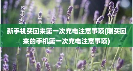 新手机买回来第一次充电注意事项(刚买回来的手机第一次充电注意事项)