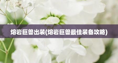 熔岩巨兽出装(熔岩巨兽最佳装备攻略)