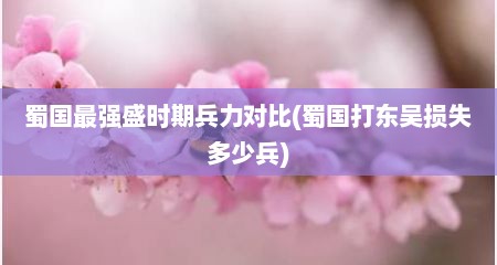 蜀国最强盛时期兵力对比(蜀国打东吴损失多少兵)