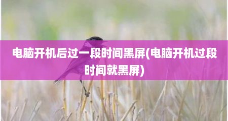 电脑开机后过一段时间黑屏(电脑开机过段时间就黑屏)