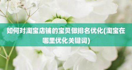 如何对淘宝店铺的宝贝做排名优化(淘宝在哪里优化关键词)