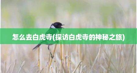 怎么去白虎寺(探访白虎寺的神秘之旅)