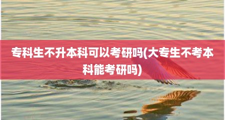 专科生不升本科可以考研吗(大专生不考本科能考研吗)