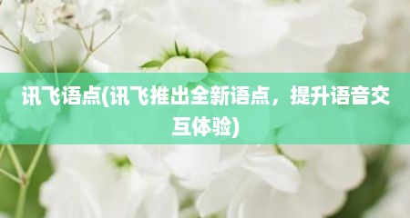 讯飞语点(讯飞推出全新语点，缇升语音交互体验)