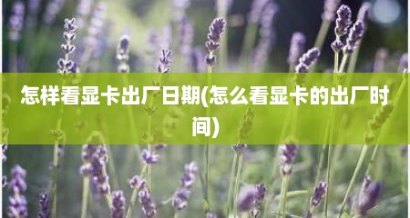 怎样看显卡出厂日期(怎么看显卡的出厂时间)