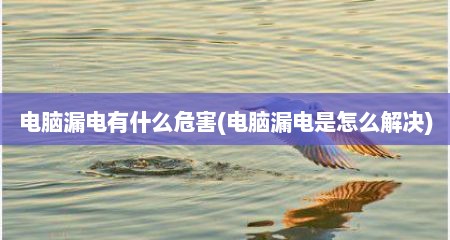 电脑漏电有什么危害(电脑漏电是怎么解决)