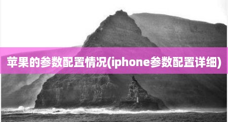 苹果的参数配置情况(iphone参数配置详细)