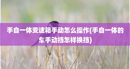手自一体变速箱手动怎么操作(手自一体的车手动挡怎样换挡)