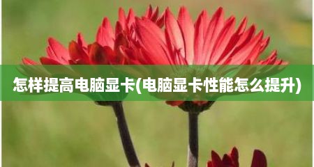 怎样提高电脑显卡(电脑显卡性能怎么提升)
