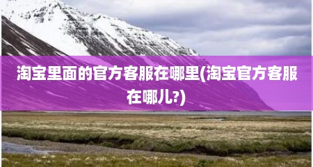 淘宝里面的官方客服在哪里(淘宝官方客服在哪儿?)