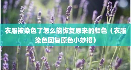 衣服被染色了怎么能恢复原来的颜色（衣服染色回复原色小妙招）